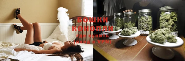 молекула духа Козловка