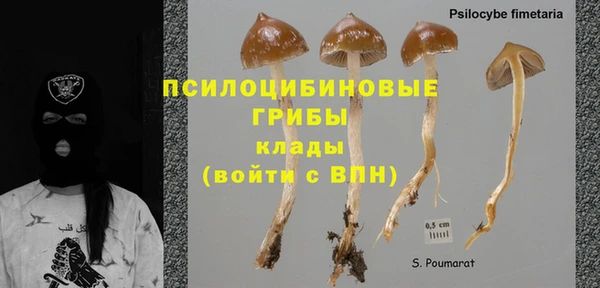 молекула духа Козловка