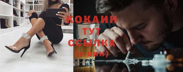 первитин Инсар