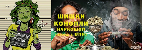 ГАЛЛЮЦИНОГЕННЫЕ ГРИБЫ Козельск