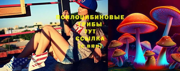 mdpv Инта
