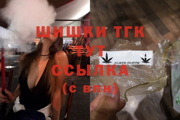 mdpv Инта
