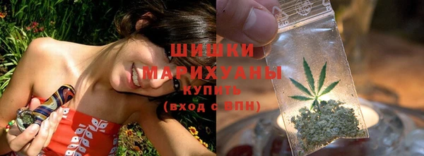 первитин Инсар